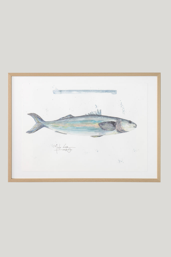 Cuadro pez pintado en acuarela con marco madera natural